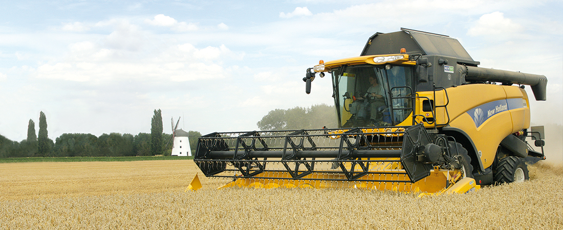 Mehl mit Herkunft. Mehl mit Herkunft.