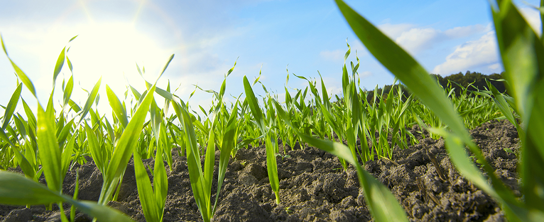 Wir säen Vertrauen. Wir säen Vertrauen.